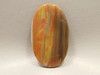 Petrified Rainbow Wood Cabochon Arizona #5
