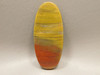 Petrified Rainbow Wood Cabochon Arizona #2