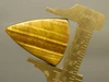 Tiger's Eye Cabochon #3