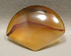 Brazilian Piranha Banded Agate Cabochon Shield Shape #15