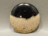 Petrified Palm Wood Polka Dot Black Cabochon Fossil Stone #11