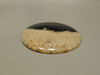 Petrified Palm Wood Polka Dot Black Cabochon Fossil Stone #11