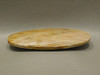 Petrified Palm Wood 3 inch Large Collector Designer Cabochon XL13