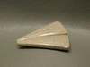 Petrified Palm Wood Matched Pair Triangle Jewelry Stone Cabochons #14