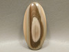 Royal Imperial Jasper Cabochon Stone Jewelry Making Supply #8
