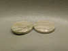 Willow Creek Jasper Matched Pair Cabochon Stone 13 mm Round #7