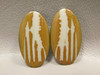 Owyhee Picture Jasper Matched Pair Cabochons #6