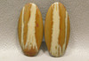 Owyhee Picture Jasper Matched Pair Cabochons #13 