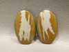 Owyhee Picture Jasper Matched Pair Cabochons #16