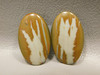 Owyhee Picture Jasper Matched Pair Cabochons #16