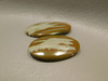 Owyhee Picture Jasper Matched Pair Cabochons #16