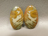 Owyhee Picture Jasper Matched Pair Cabochons #17