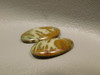 Owyhee Picture Jasper Matched Pair Cabochons #17