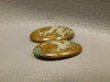 Owyhee Picture Jasper Matched Pair Cabochons #17