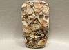 Agatized Turritella Cabochon Stone Fossil Jewelry Making #6