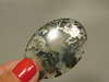 Nipomo Agate Stone Cabochon Semi Precious Gemstone California #4