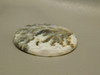 Graveyard Plume Agate 46 mm Round White Cabochon Stone #15