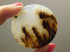 Graveyard Point Plume Agate Cabochon Stone for Jewelry #7