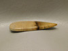 Petrified Golden Oak Wood Cabochon Semi Precious Stone #1
