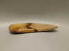 Petrified Golden Oak Fossil Wood Cabochon Gemstone #6