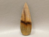 Petrified Golden Oak Wood Designer Cabochon Stone #12