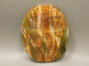 Arizona Pietersite Large Collector 2.75 inch Designer Cabochon #XL4