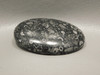 Black and White Crinoid Marble Fossil Designer Gemstone Cabochon #19