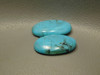 Turquoise Matched Pair Loose Stone Cabochons #8