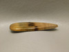 Petrified Golden Oak Wood Cabochon Semi Precious Stone #4