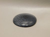 Petrified Wood Cabochon Palm 43 mm Round Black Gemstone #19