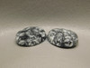 Pinolith or Pinolite Matched Pair Stone Cabochons #14