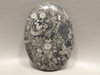 Crinoid Marble Fossilized Stone Cabochon #22