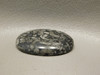 Crinoid Marble Fossil Cabochon Semiprecious Stone #23