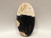 Petrified Wood Cabochon Jewelry Stone Louisiana Palm #23