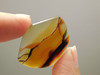 Brazilian Piranha Agate Cabochon Shield Shape Gemstone  #22