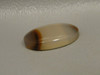 Agate Cabochon Brazilian Piranha Designer Gemstone Small Oval #6