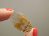 Cacoxenite Amethyst Gemstone Small Cabochon Healing Stone #19