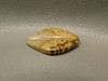 Petrified Palm Wood Fossilized Freeform Matched Pair Cabochons #18