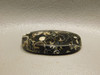Turritella Agate Semiprecious Gemstone Fossilized Cabochon #23