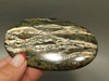 Arizona Pietersite Gemstone 3.5 inch Large Collector Cabochon #xl3