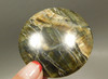 Arizona Pietersite Tiger-eye 47 mm Round Gemstone Cabochon #2