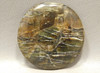 Arizona Pietersite Tiger-eye 47 mm Round Gemstone Cabochon #2