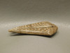 Badger Pocket Petrified Wood Pairs Cabochons Semi Precious Stones #4