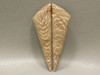 Badger Pocket Petrified Wood Pairs Cabochons Semi Precious Stones #4