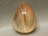 Amphibole Included Quartz Cabochon Clear Angel Wing Phantom #Q14