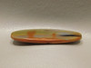 Arizona Petrified Wood Yellow Rainbow Cabochon Gemstone #1