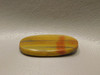 Arizona Petrified Rainbow Wood Yellow Oval Cabochon Stone #5