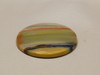 Arizona Petrified Wood Round 43 mm Cabochon Yellow Gemstone #6