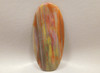 Petrified Wood Designer Large Cabochon Collector Arizona #xl2