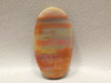 Arizona Red Petrified Rainbow Wood Oval Cabochon Stone #20